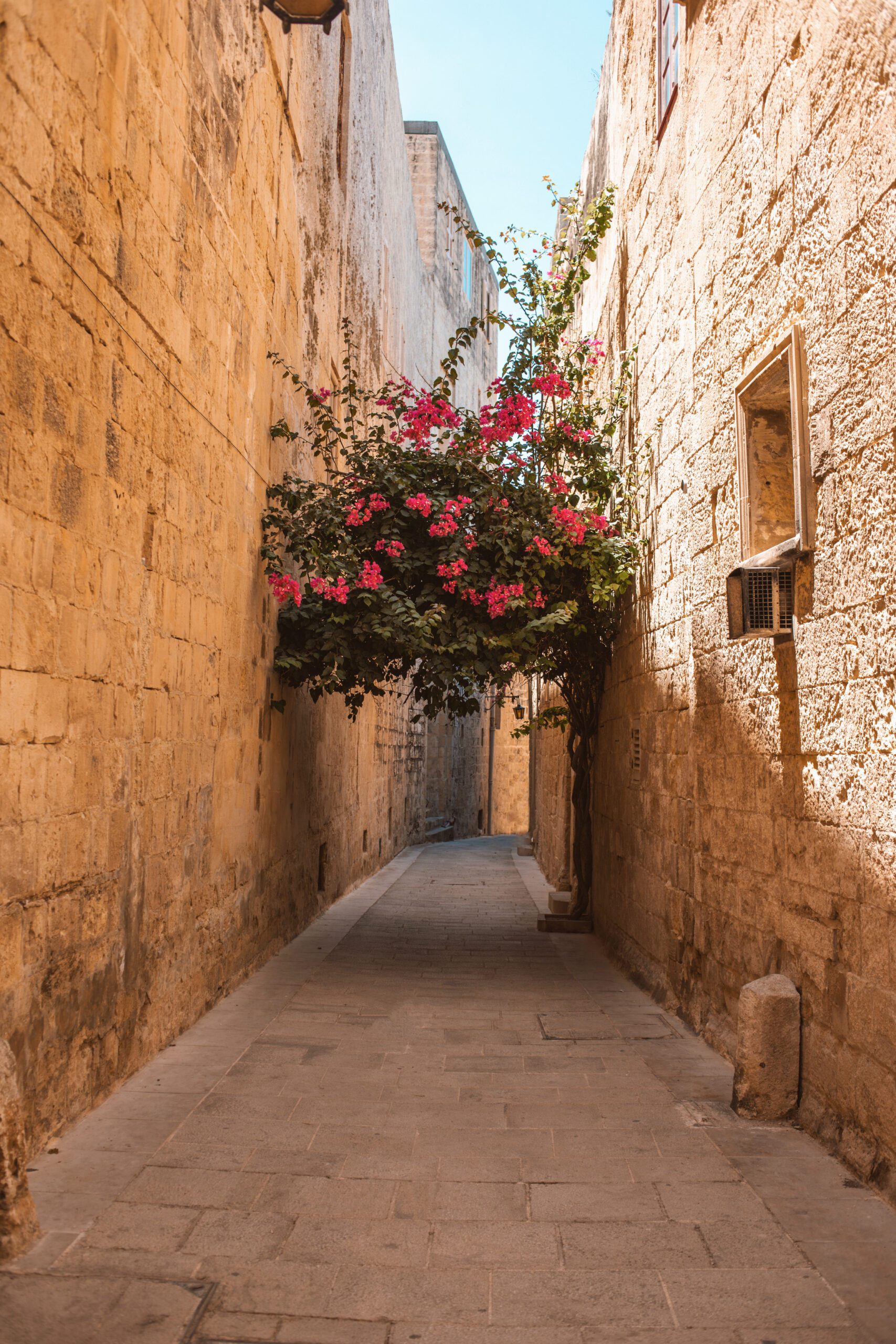 Mdina & Rabat Travel Guide: Here’s Everything You Need To Know About ...